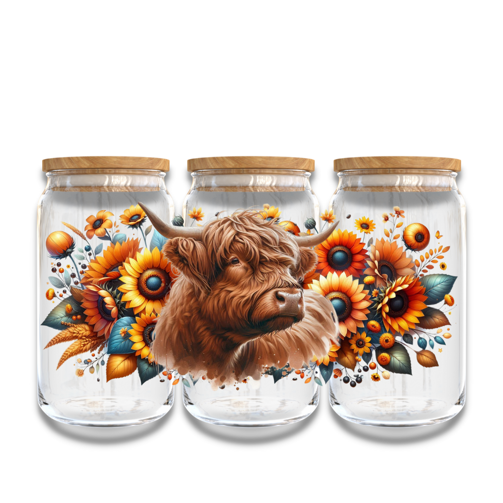 Highland Cow