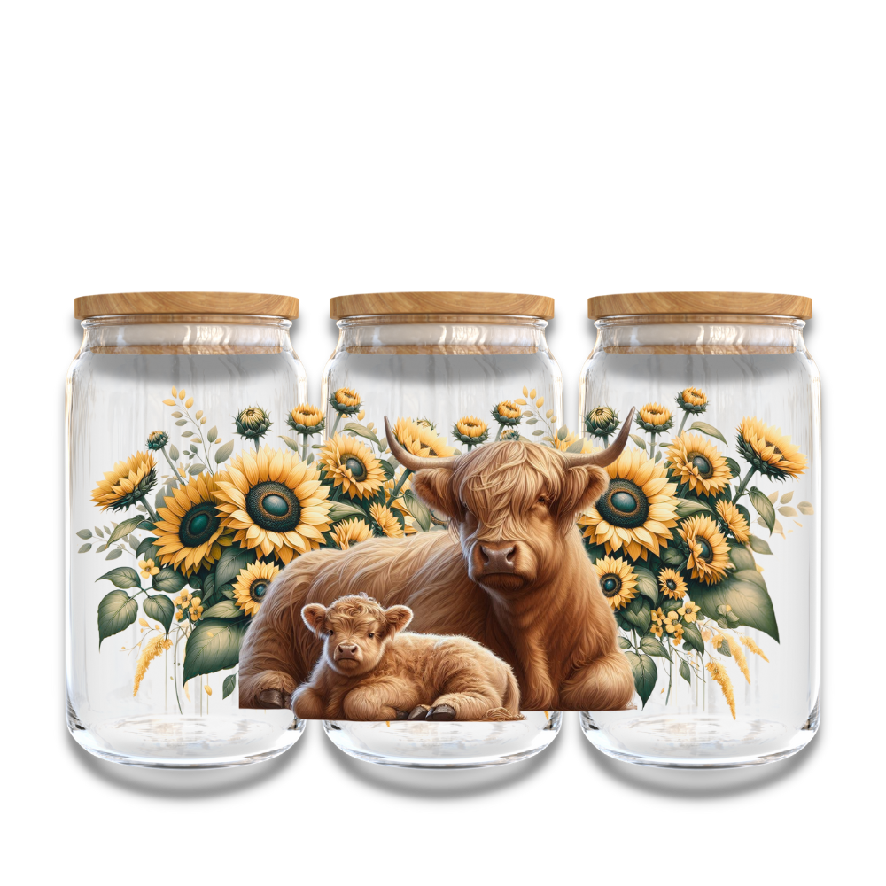 Highland Cow