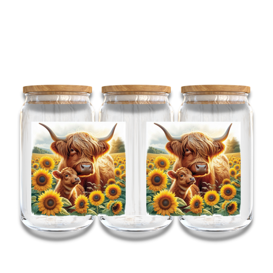 Highland Cow