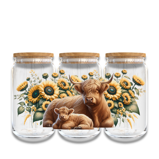 Highland Cow